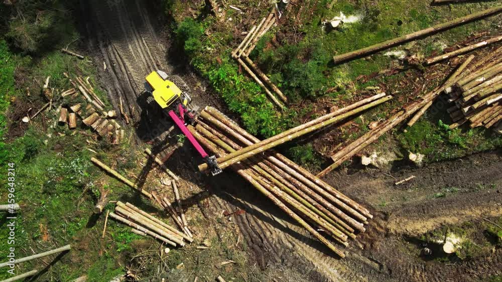 Poster timber loading, loading logs into a truck, timber processing, deforestation, timber loading with a c