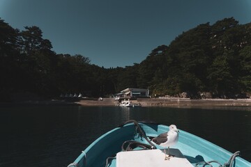 boat on the lake