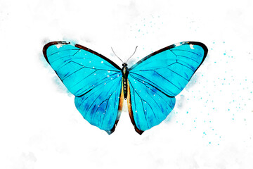 All kinds of beautiful watercolor butterfly illustrations
