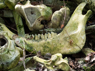 Naklejka premium Close up of a jawbone with teeth and a cut femur of cow or cattle found in a forest