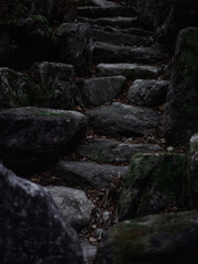 Fototapeta na wymiar rock stairs in the mountains