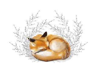 Winter Christmas sleeping fox illustration