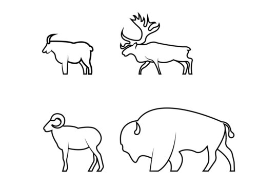 Horned wildlife animals vector illustration on a white background