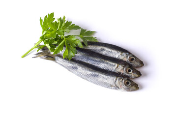 Several fresh Black Sea sprat with parsley isolated on white background