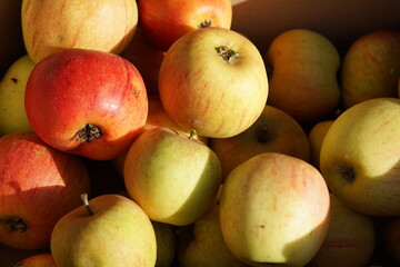 apples and pears