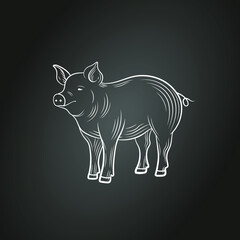 Vector chalk drawn pig isolated on black background, engraving style, illustration of farm animal, standing pig.