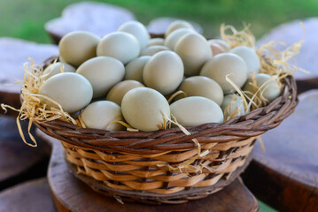 eggs in wicker basket, sale of eggs, poultry farming, egg basket decoration