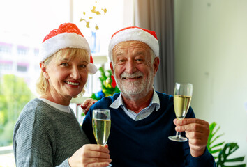 Merry Christmas and Happy new year, Happy senior couple celebrating on Christmas day together.