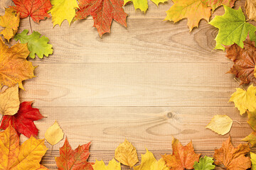 autumn leaves on a wooden table, flat lay
