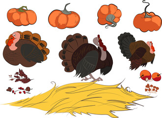 Thanksgiving day card with pilgrim hat and Native American feathers. Vector illustration and hand sketches. Vector illustration