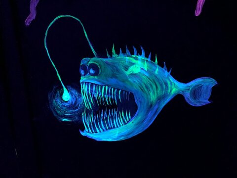 Angler Fish Images – Browse 36,548 Stock Photos, Vectors, and Video