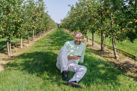 Smiling mature man using mobile phone at apple orchard