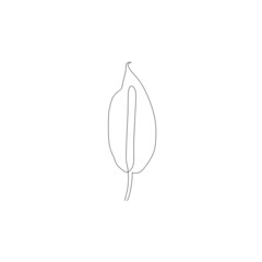 Continuous line drawing of flower, plant object one line, single line art, vector illustration