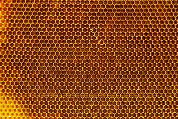 Texture of honeycombs close up. Yellow wax honeycombs from the hive.
