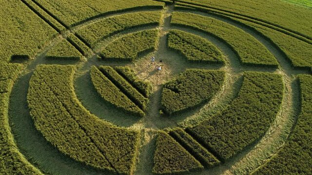 Hackpen hill strange crop circle pattern in rural grass farming meadow aerial view descending shot