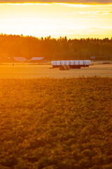 Fototapeta premium Sunset