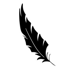 Feather of birds. Black feather silhouette for logo vector set