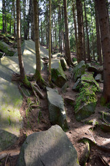A pile of piled boulders covered with green moss and branches in a dense forest