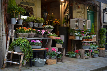 Fototapeta na wymiar view on the storefront of a florist