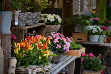 Fototapeta na wymiar view on the storefront of a florist