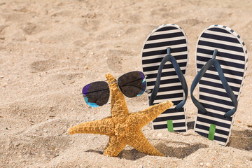 Stylish flip flops, sunglasses and starfish on sand, space for text