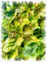 green leaf watercolor style illustration impressionist painting.