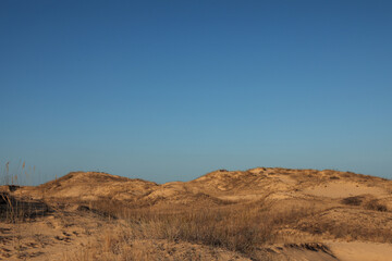 Fototapeta na wymiar Picturesque view of desert on sunny day