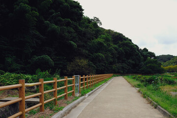 ウォーキング日和