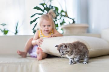Baby playing with a little kitten