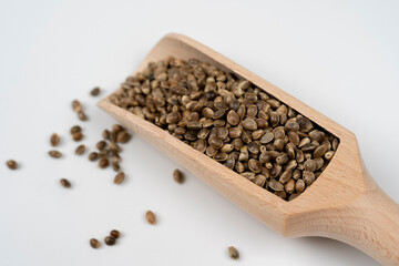 Wooden spoon with hemp seeds on white background