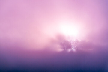 Silhouette of trees on the horizon with a purple tint. Abstraction.