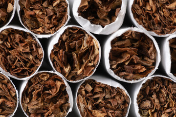 Cigarette production. abstraction with cigarettes. smoking