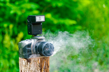 The camera stands on a tree stump in nature.