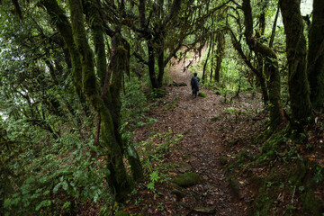 A man wearing a raincoat walks on the hiking trail. Machapuchare trek, Nepal