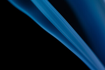 Abstract colorful smoke on a black background. Isolated.