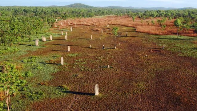 Aerial view of Magnetic Termite Mounds in Litchfield National Park, Northern Territory, Australia