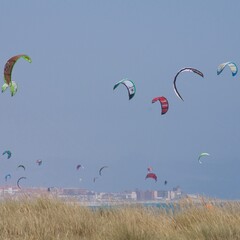 Beach on the coast of Spain. Location: Tarifa, Cadiz. Kitesurfers fly over the waves. A huge amount...