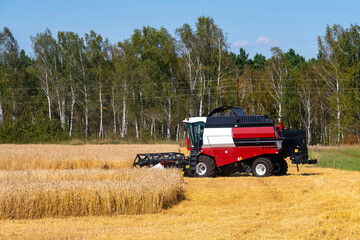 The harvester turns around when harvesting rye.