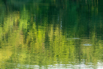 Water surface texture with green forest reflection.