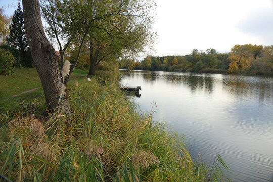 Blaue Adria recreational area and natural habitat on an autumn day, Altrip Germany