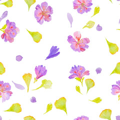 Fototapeta na wymiar Delicate romantic seamless watercolor floral pattern with hand drawn field wild flowers on white background.