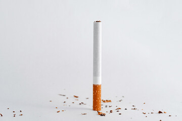 Cigarette and scattered tobacco around it. Cigarette