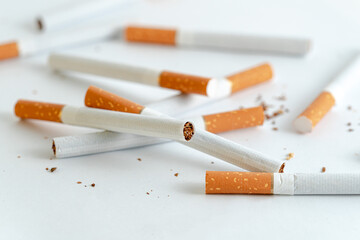 Scattered cigarettes on a white background
