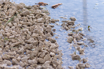 Yellow stones in a puddle and in water