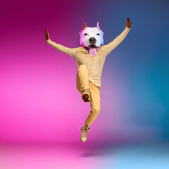 Contemporary collage with young man, hip hop dancer headed of dog's head dancing isolated over gradient pink blue background in neon light.