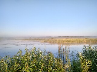 lake in the fog