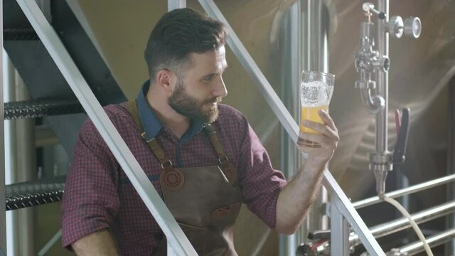 Young brewer wearing a leather apron is tasting beer at a modern brewery