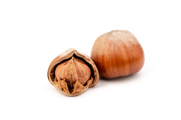 Group of hazelnuts, isolated on white background