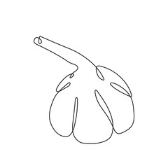 Garlic one-line art,stylized continuous contour.Hand-drawn drawing outline,farm product,spicy vegetarian food, proper nutrition, healthy diet.Sketch, doodle,minimalism.Isolated.Vector illustration.