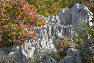 Karst formation on Adriatic coast of Northern Italy